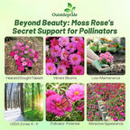 Outsidepride Pink Mixed Moss Rose Seeds - 250 Pcs Annual, Drought & Heat Tolerant, Pollinator Friendly Ground Cover Seeds for Planting w/Vibrant Blooms & Succulent Foliage, Ideal for Xeriscaping