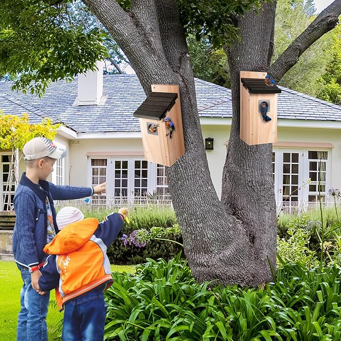 Dreyoo 2 Pack Bluebird Box Houses for Outside,1-1/2'' Entrance Hole Wooden Bird Houses with Metal Guard, Secure Latch,Fledgling Grooves,Air Vents for Bluebird Wren Swallow(Dark Wood)