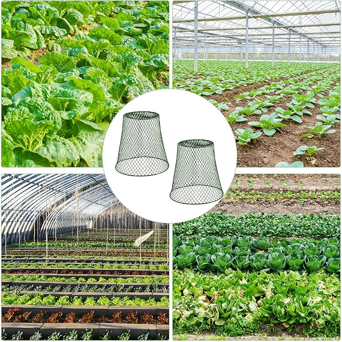 10 Pieces Chicken Wire Plant Covers Wire Garden Cloches Chicken Wire Cloche Plant Protector Metal Heavy Duty Garden Plant Cloche for Keeping Bunnies Chicken Squirrels Birds Other Out(9×9in) (Green)