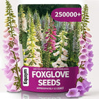 250,000+ Foxglove Seeds Bulk Pack - Tall Spire Blooms, Mixed Colors for Garden Borders, Easy Planting for Home Gardening - Ideal for Backyard Flower Beds, Landscaping, and Pollinator-Friendly Gardens