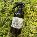 Cute Farms Tillandsia Air Plant Fertilizer | Gentle Weekly Use Formula Plant Food | Formulated Nutrients for Air Plants (Three - 8 oz. Spray Bottle)