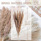 650PCS Natural Dried Pampas Grass Boho Home Decor Bouquet Phragmites Dried Flowers Bouquet for Wedding Floral Arrangements Home Decorations (650PCS)