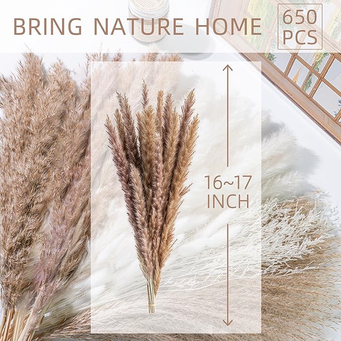 650PCS Natural Dried Pampas Grass Boho Home Decor Bouquet Phragmites Dried Flowers Bouquet for Wedding Floral Arrangements Home Decorations (650PCS)