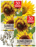 Seed Needs Mammoth Grey Stripe Sunflower Seeds for Planting - Heirloom & Open Pollinated Flower Seed to Plant an Outdoor Butterfly Garden (2 Packs)