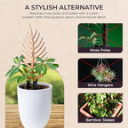 Treleaf Palmella Palm Leaf Inspired Wooden Trellis – Grande Size Indoor Plant Support for Climbing Plants – 24” Decorative Houseplant Trellis and Wooden Plant Stake for Potted Vines