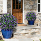 HyeFlora 2 Pack Artificial Topiary Boxwood Ball Trees with Lavender Fake Plants for Outdoor Indoor Artificial Shrubs with Ground Spike UV Resistant Fake Bushes for Front Porch Garden (Purple Lavender)