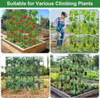 Cucumber Trellis for Raised Bed 5.4x5.5ft U-Shape Adjust Metal Garden Trellis for Climbing Plants Outdoor with Climbing Net Vegetable Arch Trellises Support Plant for Tomato Pea Fruit Squash Trellises