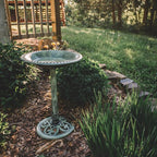 Backyard Expressions Outdoor Garden Bird Bath - Mint Green - Weather Resistant Polyresin - 27 Inch