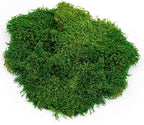 Galápagos (05248) Sheets of Real Moss, 8-Quart, Natural,Green (Pack of 6)