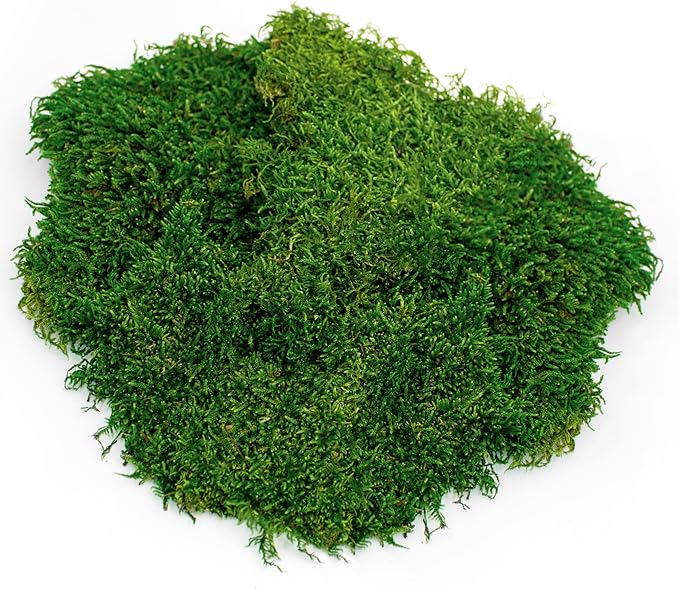 Galápagos (05248) Sheets of Real Moss, 8-Quart, Natural,Green (Pack of 6)