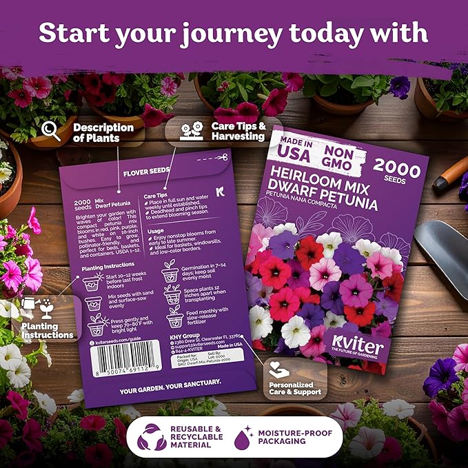 KVITER 2,000 Mix Dwarf Petunia Seeds for Planting Flowers (Nana Compacta) — Mini Petunia Flower Seeds, Annual, Organic & Non GMO — Beds, Hanging Baskets, Containers, Outdoor & Indoor Garden