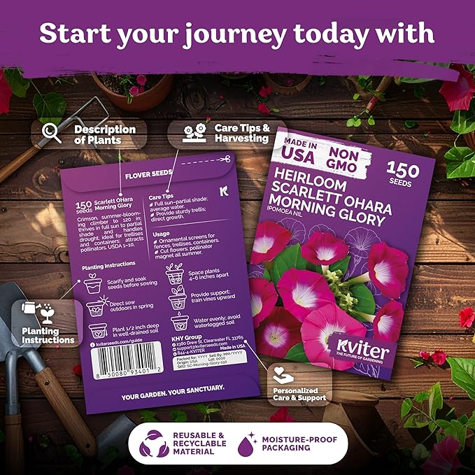 KVITER 150 Scarlett O'Hara Morning Glory Seeds for Planting (Ipomoea Nil) – Red Morning Glory Vine Seed Packets – Non GMO Heirloom Flower Seeds to Plant Outside Home Garden, Containers, Trellises