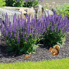 30 PCS Round Plant Protector from Animals, 12 Pack 12'' x 12'' Metal Plant Cages，30Pcs Metal Mesh to Keep Animals Out, Garden Protection Bunny Barricades, Wire Plant Protectors for Rabbit Chicken Duck