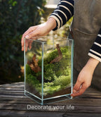 27 PCS Glass Plant Terrarium Kit with LED Grow Light– DIY Moss Terrarium Kit for Adults, Mini Garden Set for Succulent, Real Live Moss, and Air Plants – Home Office Decoration & Unique Gift fo Friend