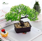 Der Rose 8 Inch Artificial Bonsai Tree Small Fake Plants Decor for Bathroom Office Desk Table Shelf Japanese Zen Ficus Decor Indoor