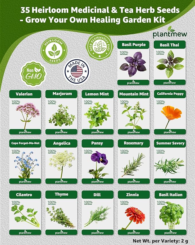 Medicinal & Tea Herb Seeds for Planting - 35 Non-GMO Heirloom Variety Pack for Indoor/Outdoor Garden: Anise, Bergamot, Borage, Fennel, Chamomile, Dandelion, Oregano, Hyssop, Catnip Seeds & More