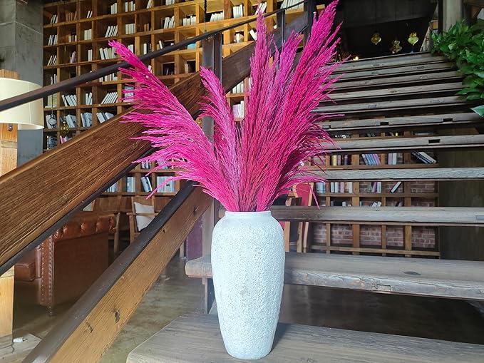 Hot Pink Pampas Grass Tall for Floor Vase Decor,Long Natural Pampas Grass, Large Dried Pompas Floral, Elegant Feather Flowers,Wedding Living Room Decorations (Natural Purple Red, 4pcs 43.3"(110cm))