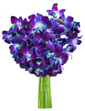 KaBloom - Exotic Sapphire Orchid Bouquet of Blue Orchids Without Vase - Fresh Flowers for Birthday, Valentine's & Mother's Day