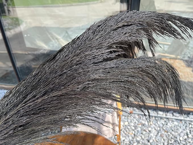Dark Grey Pampas Grass Tall for Floor Vase Decor, Black Natural Pampas Grass, Large Dried Pompas Floral, Elegant Feather Flowers for Wedding Living Room Decorations(Natural Grey, 4pcs 43.3"(110cm))