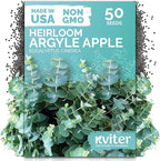 KVITER 50 Argyle Apple Eucalyptus Seeds (Eucalyptus Cinerea) - Silver Dollar, Evergreen Garden Decor, Fragrant Foliage, Non GMO Seed - Tree Seeds in Seed Packets for Outdoors, Suitable for Containers
