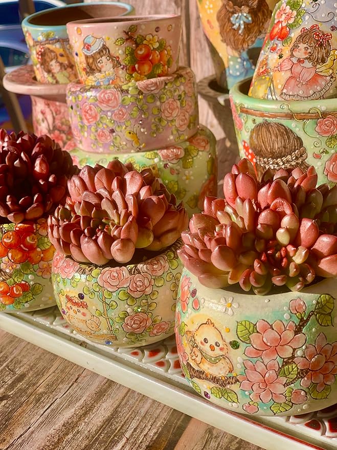 Echeveria Pink Rubby Succulent Kit - with Plastic Pot, 1 Head 2" Live Plant, Compressed Soil & Guide, for Garden Indoor Office Desk (1, Echeveria Pink Rubby)