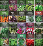 Hydroponic & Indoor Garden Seed Kit – 20 Compact Heirloom Vegetable & Herb Varieties | Apartment, Small-Space, Patio & Vertical Tower Growing | Family Garden Gift – Survival Garden Seeds