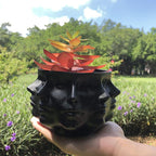 Multi-Face Succulent Planter Vase - Small Face Plant Head Home Decoration - Indoor Cactus Pot