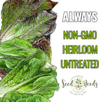 Seed Needs Romaine Lettuce Seeds Variety Pack for Planting a Collection of 2 Individual Varieties - Packets Include Red Romaine & Parris Island COS