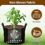 6 Pack 1 Gallon Grow Bags, Heavy Duty 300g Nonwoven Fabric Plant Pots with Reinforced Handles, Breathable Potato Grow Bags for Vegetables, Herbs, Seedlings - Black