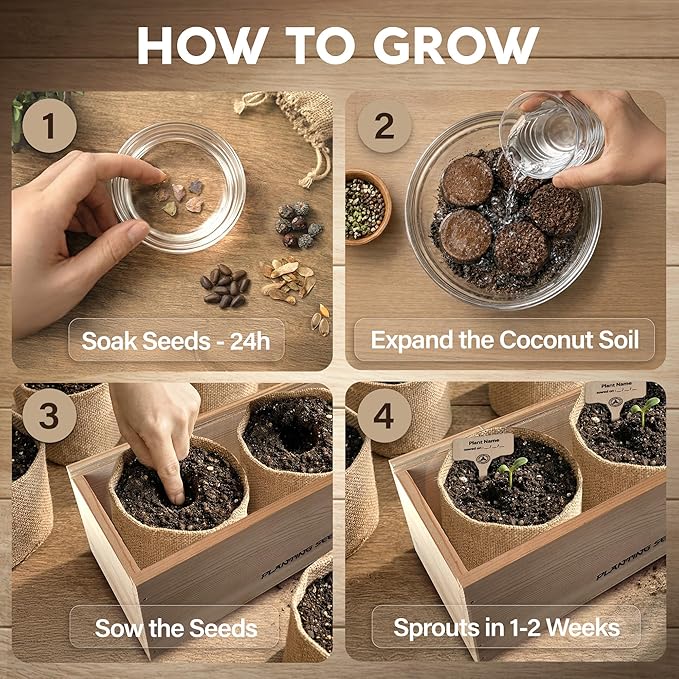 Bonsai Tree Kit for Beginners – 5X Unique Japanese Bonzai Trees, Complete Indoor Bonsai Starter Kit for Growing Bonsai Plants w/Tools & Planters – DIY Christmas Gardening Gifts for Mom