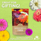 Bulk Zinnia Seeds - California Giants Mix - Bulk 1/4 Pound Bag Over 12,000 Flower Seeds - Mixed Colors and Large Blooms