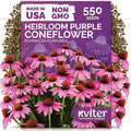 KVITER 550 Purple Coneflower Seeds (Echinacea Purpurea) – Echinacea Herb Flower Seeds For Planting, Medicinal Wild Flower Seed Packets – Wildflower Pollinator for Home Garden, Containers, Flowers Beds
