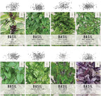 Seed Needs Culinary Basil Herb Seed Packet Collection (8 Individual Basil Seed Varieties for Planting) Non-GMO & Untreated Kitchen Herbs to Plant Indoors/Outdoors