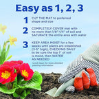 BloomingBulb Seed Mat - Easy to Plant and Grow Garden Seeds - Creates Fragrant, Vibrant Flower Garden (Sunflower Garden) (Pack of 2)