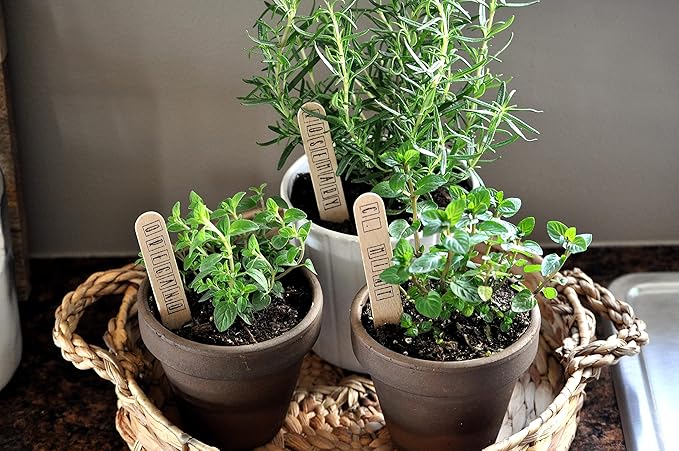 Doter Organic Potting Soil Mix 10qt for All Indoor & Outdoor Small Containers Including Herbs, Vegetables, and Flowers
