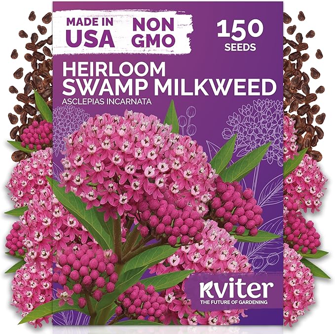 KVITER 150 Swamp Milkweed Seeds (Asclepias Incarnata) - Rose Milkweed, Heirloom, Perennial Wildflower, Pink Blooms, Butterfly and Honeybee Pollinator - Flower Seeds in Seed Packets for Outdoor Gardens