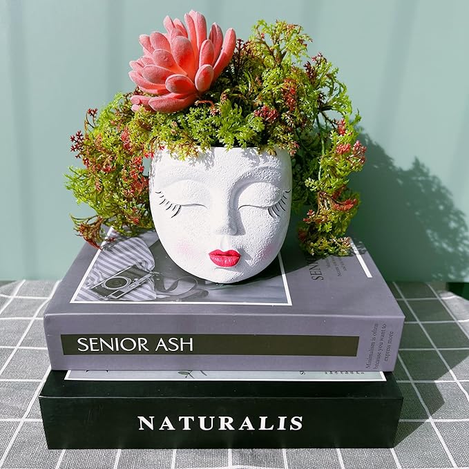 Small Face Succulent Pots Handmade Resin Lady Head Planter Cute Flower Pots Funny Succulent Planter for Indoor and Outdoor Plants White 1Pack