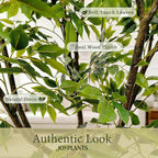 Ficus Tree Artificial 6FT, Artificial Indoor Plants with White Pot Lifelike Branches and Realistic Leaves,Perfect for House Living Room Office Garden Gate Outdoor