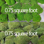 2 Color Mix Pack Preserved Pole Moss Pillow Bun Cushion Natural Decorative Green DIY Kit Art Wall Decor Florist Decor Easter Table Decor Wedding(1.5 sq.ft, Green-A,Green-B)