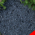 18lb Black Cactus Pea Gravel Rocks,1/4 Inch Pebbles for Indoor Plants, Natural Succulent Rock and River Rocks Decorative for Aquariums, Vases, Outdoor Gardening, Top Dressing for Potted Plants
