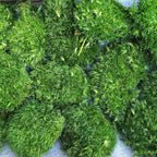prefleur Preserved Pole Moss Pillow Bun Cushion Natural Decorative Real Natural Green DIY Kit Gardenning Art Wall Decor Florist Decor Easter Table Decor Wedding(1.5 sq.ft, Green-F)