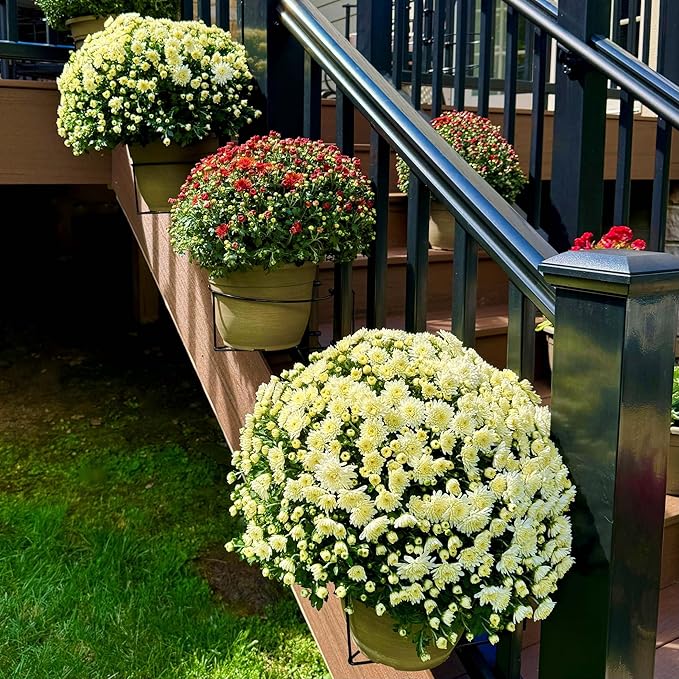 Bloem RailScapes Floating Railing Plant Clip for 1.25” - 1.5” Thick Spindles, 3-Pack