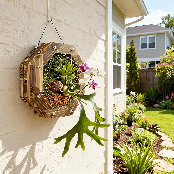 10.5 Inches Staghorn Fern Mounting Kit Orchid Mounting Wood Hanging Plant Frame Wall Planter Plant Holder Basket for Orchids Staghorn Fern Tropical Plants (265x265x60mm)