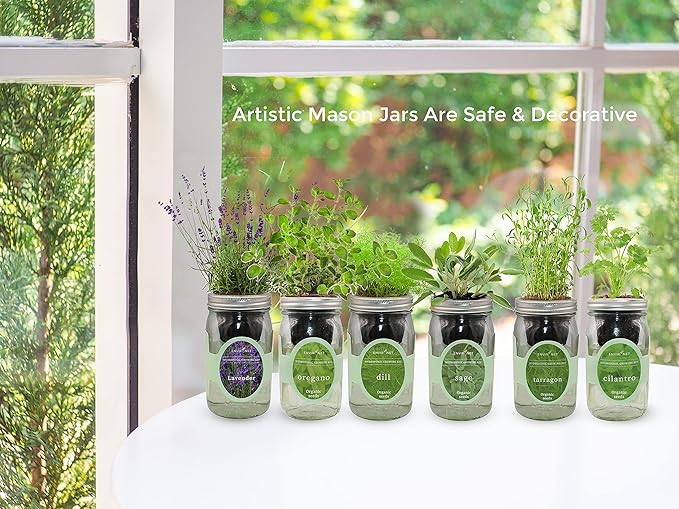 Hydroponic Herb Growing Kit, Self-Watering Mason Jar Herb Garden Starter Kit Indoor, Windowsill Herbs Garden, Grow Your Own Herbs from Organic Seeds (Thai Basil)