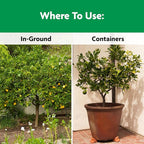 Miracle-Gro Shake 'N Feed Continuous Release Citrus, Avocado & Mango Plant Food, 4.5 lb.