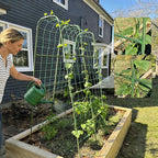 Miory Cucumber Trellis, 63" Tall U-Shape Trellis for Raised Bed, Garden Arch Trellis for Climbing Plants Outdoor, Plant Support for Vines, Steel with PE Coated (32" Lx32 Wx63 H)