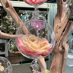WGV Hanging Terrarium Globe, Width 5", Height 7", Double Hook, DIY Air Succulent Planter, Clear Glass Vase Orb, Candle Holder for Windowsill Outdoor Garden Decor, 1 Piece