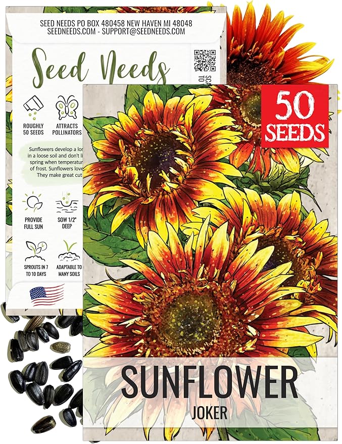 Seed Needs Joker Sunflower Seeds for Planting Sunflowers - Hybrid Flower Seed to Plant an Outdoor Home Grown Butterfly Garden (1 Pack)