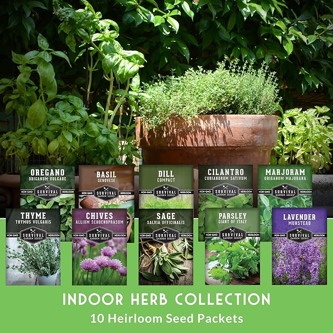 Herb Seeds Variety Pack | 10 Culinary Herbs for Planting – Basil, Cilantro, Lavender, Dill, Parsley, Oregano, Thyme, Sage, Chives, Marjoram – Indoor Kitchen Herb Kit – Survival Garden Seeds