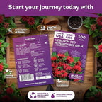 KVITER 100 Red Bee Balm Seeds Perennial (Monarda Didyma) – Wild Bergamot, Pollinator Magnet, Heirloom & Non GMO – Perennial Flower Seeds to Plant Outside, Perfect for Butterfly Gardens & Borders
